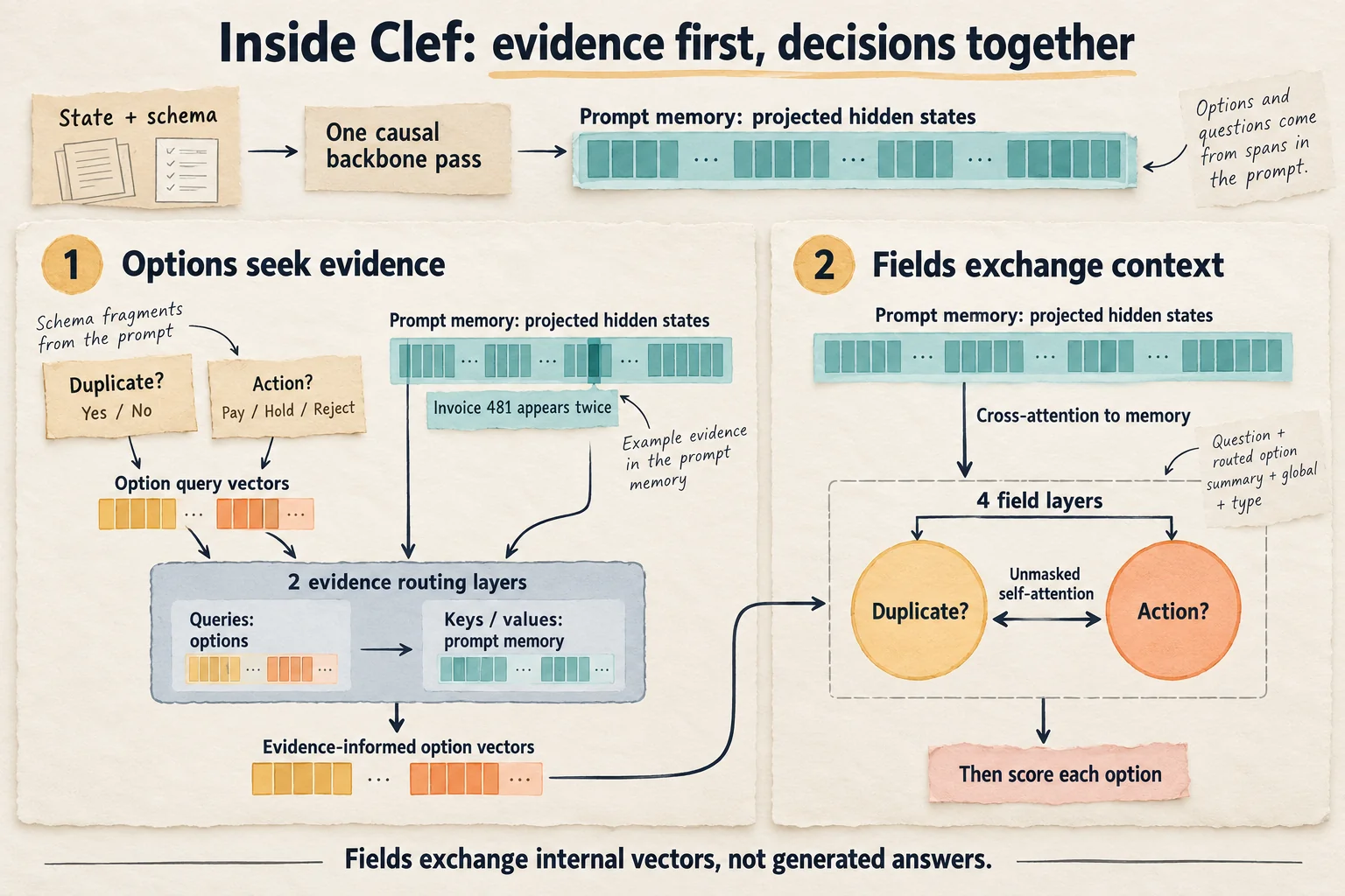 Inside Clef, option queries cross-attend to projected prompt memory in two evidence-routing layers; question field vectors then interact through four field layers and also cross-attend back to that memory before option scoring.