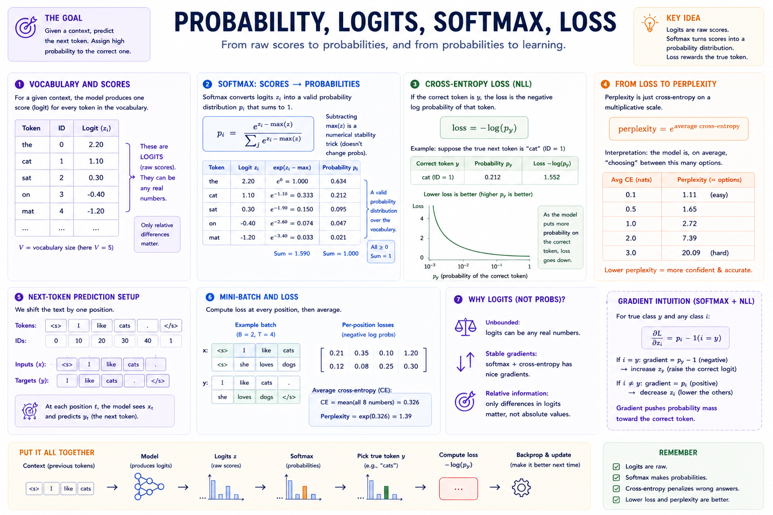 Logits-to-loss diagram showing vocabulary scores, softmax probabilities, cross-entropy loss, perplexity, next-token targets, and gradient intuition.