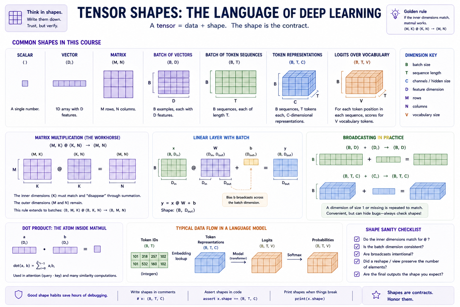 Tensor shape reference covering scalars, vectors, matrices, batched tensors, matrix multiplication, broadcasting, and language-model data flow.