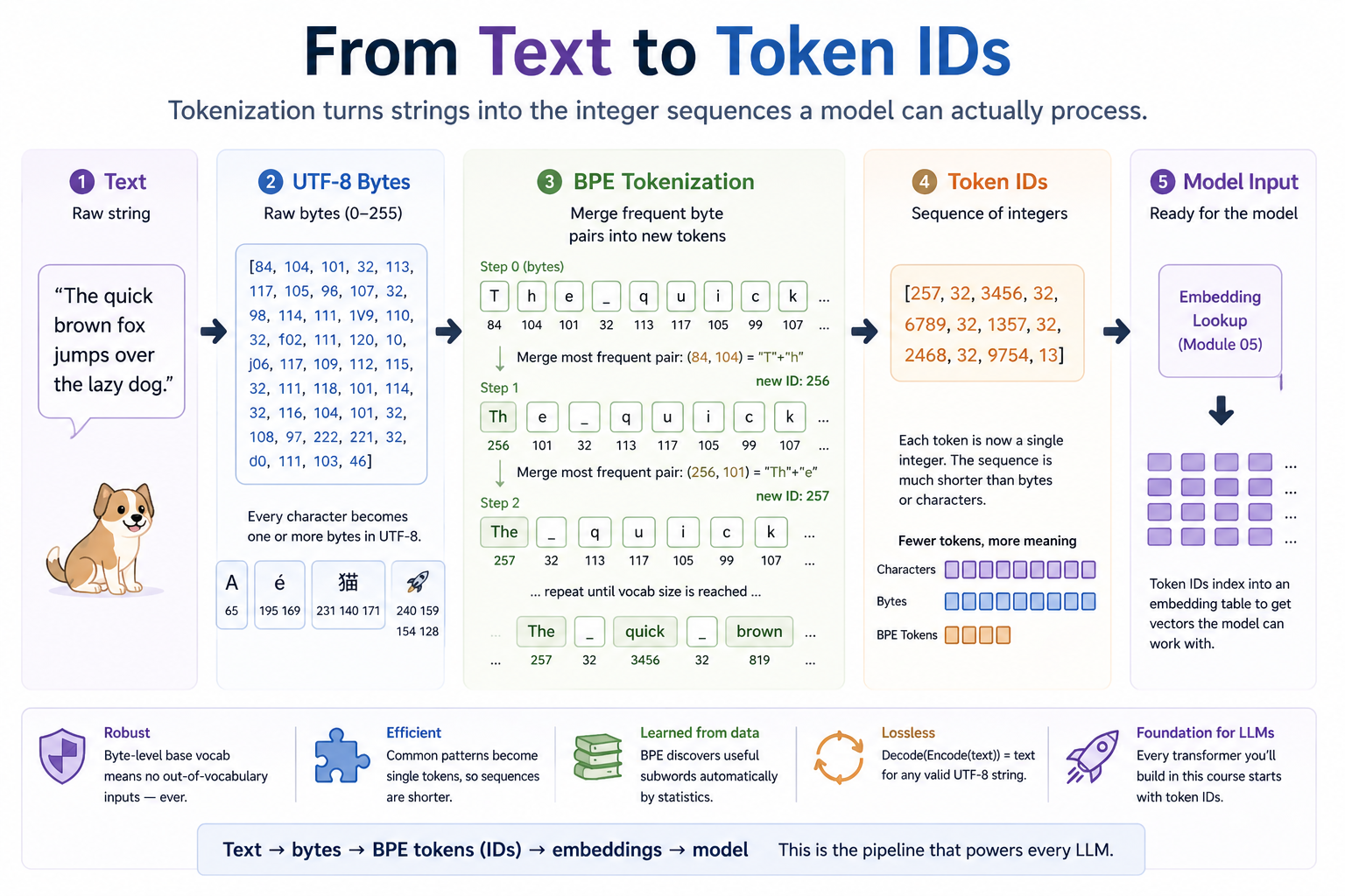 From text to token IDs: raw text → UTF-8 bytes → BPE tokens (greedy pair merges) → integer ID sequence → model input. Robust (no OOV), efficient, learned from data, lossless, and the foundation every LLM is built on.