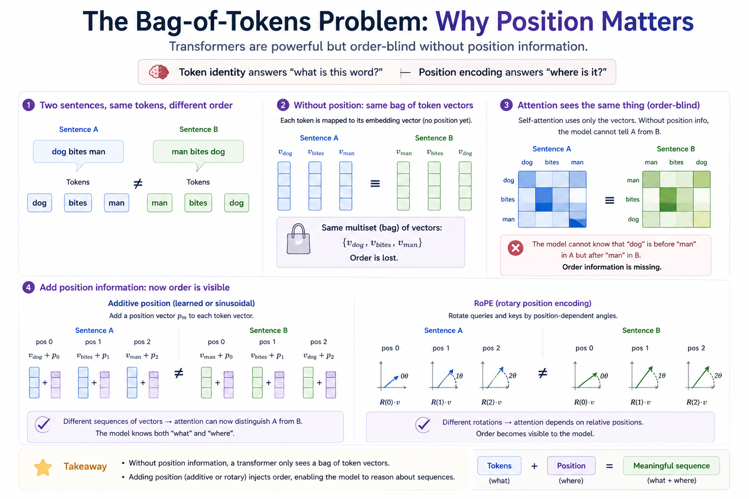The bag-of-tokens problem: "dog bites man" and "man bites dog" produce identical bag-of-vectors when position is dropped, identical attention without positional encoding, and only become distinguishable once a learned, sinusoidal, or RoPE positional signal is added.