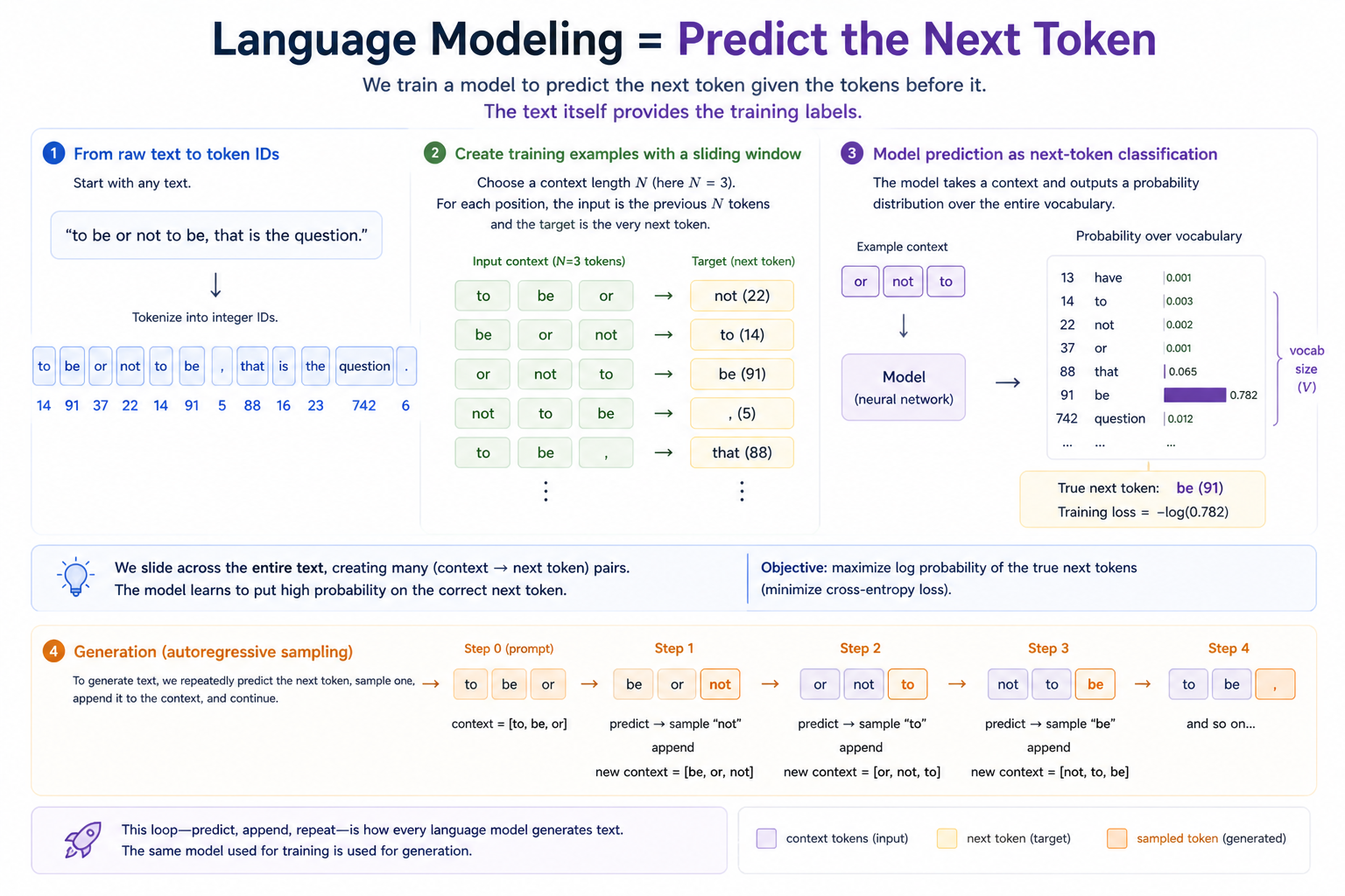 Four panels showing language modeling as next-token prediction: (1) raw text becomes a sequence of token IDs via BPE; (2) a sliding window over those IDs produces (context, target) training examples; (3) at each position the model emits a probability distribution over the vocabulary, scored by cross-entropy against the true next token; (4) at inference the same model is called autoregressively — predict, append, repeat — to generate text.