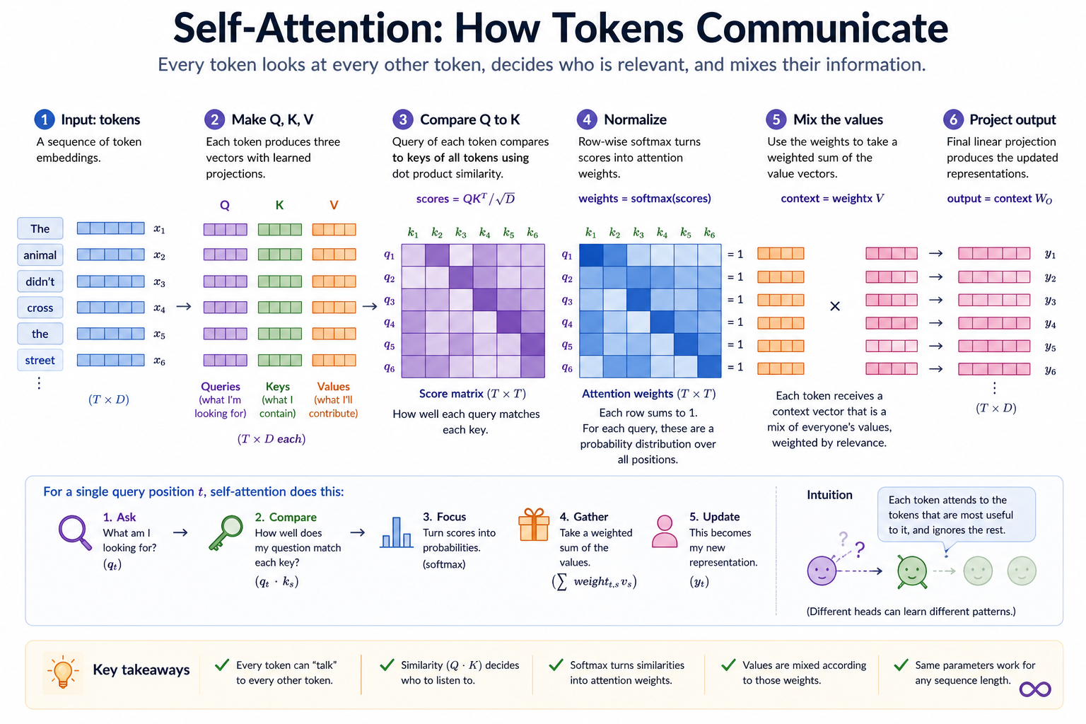 Self-attention as six steps from tokens to refined representations: input embeddings (T, D); query/key/value projections via three Linear layers; pairwise compatibility scores from Q · Kᵀ / √D; softmax to row-normalized attention weights; mixed value vectors; an output projection. The bottom strip restates the same recipe as a one-position view ("ask, compare, pass, gather, update") and pins the headline takeaway: every token looks at every token, decides who is relevant, and mixes their information.
