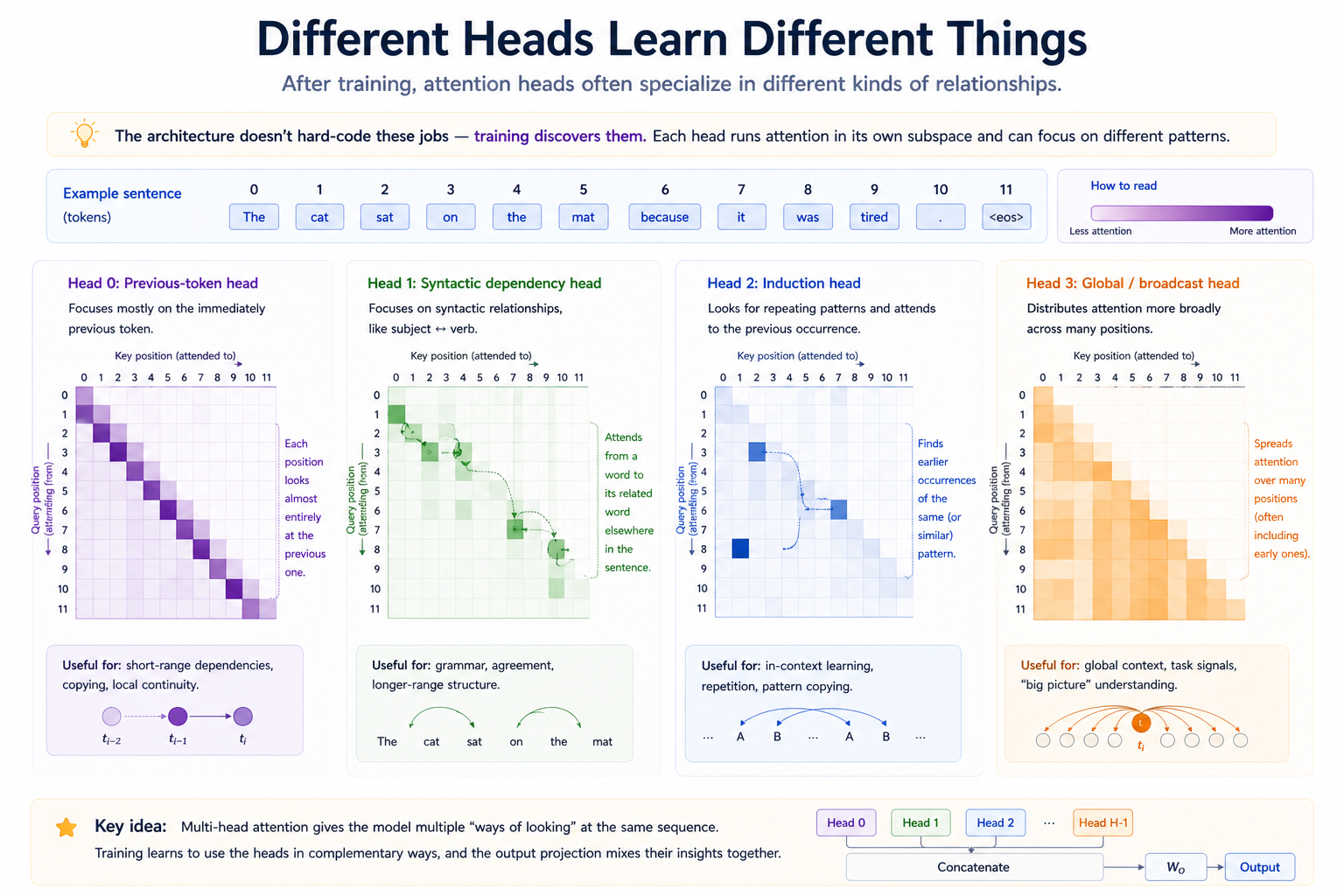 Four canonical head-specialization patterns visualized as attention heatmaps over a sample sentence: (1) a previous-token head — all mass on the position immediately before the query, a clean sub-diagonal stripe; (2) a syntactic head — sparse off-diagonal links between grammatically related tokens (subject↔verb, modifier↔noun); (3) an induction head — for the pattern "...A B...A", weight concentrates on the token after the previous A; (4) a global / broadcast head — diffuse weight covering most of the sequence. A side caption emphasizes the headline: nothing in the architecture forces these patterns; they emerge during training.