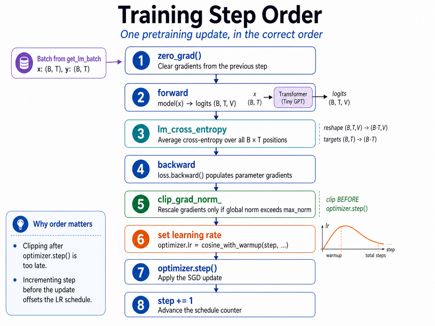 The eight-step training loop drawn in order: zero_grad clears stale gradients; forward runs the model to logits; lm_cross_entropy averages per-position CE; backward populates parameter .grad; clip_grad_norm rescales if the global norm is too large; set the learning rate from cosine_with_warmup; optimizer.step applies the optimizer update; increment the step counter.